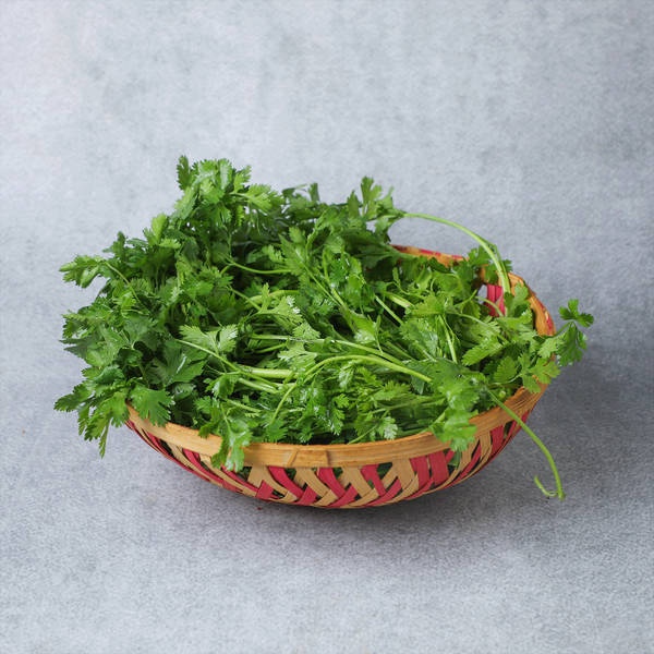Coriander Leaves