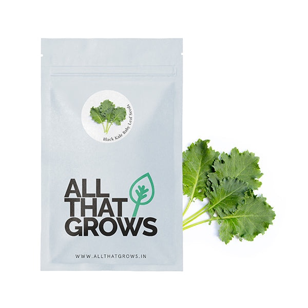 Organic Seeds - Kale