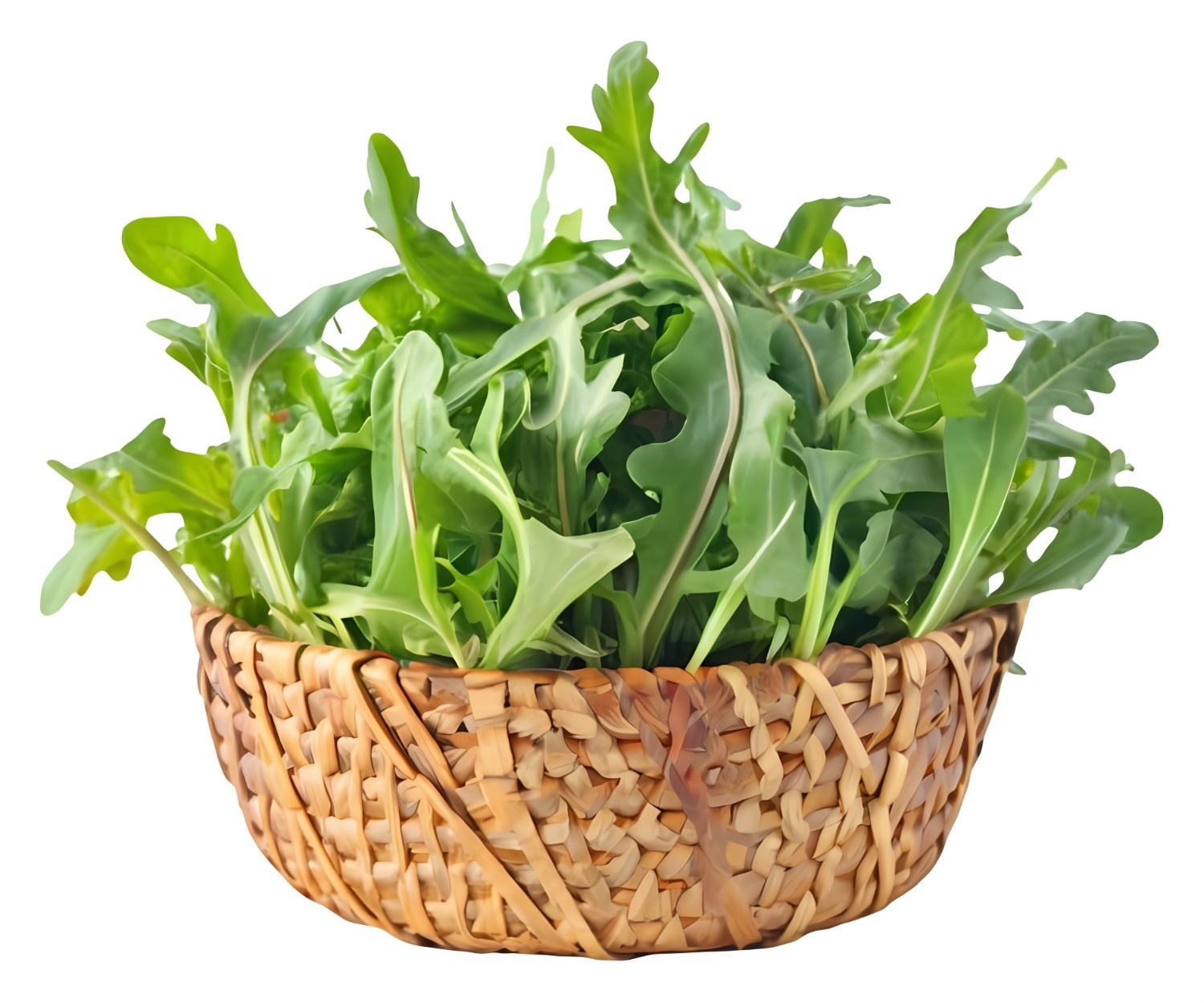 American Kale