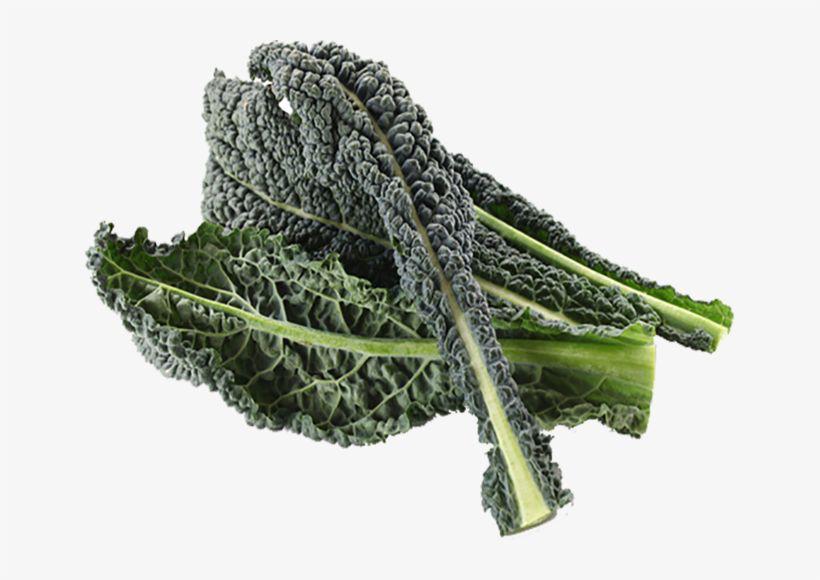 CURLY KALE