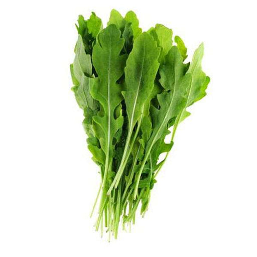 ROCKET ARUGULA