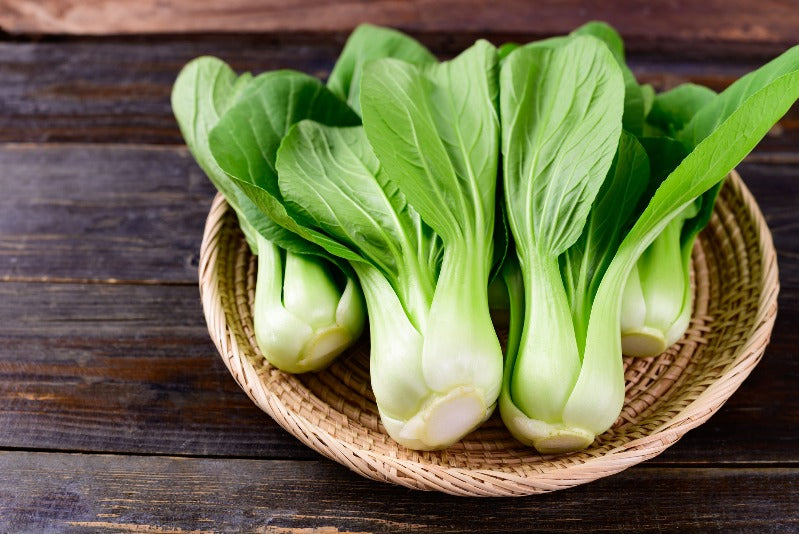 BABY PAK CHOI