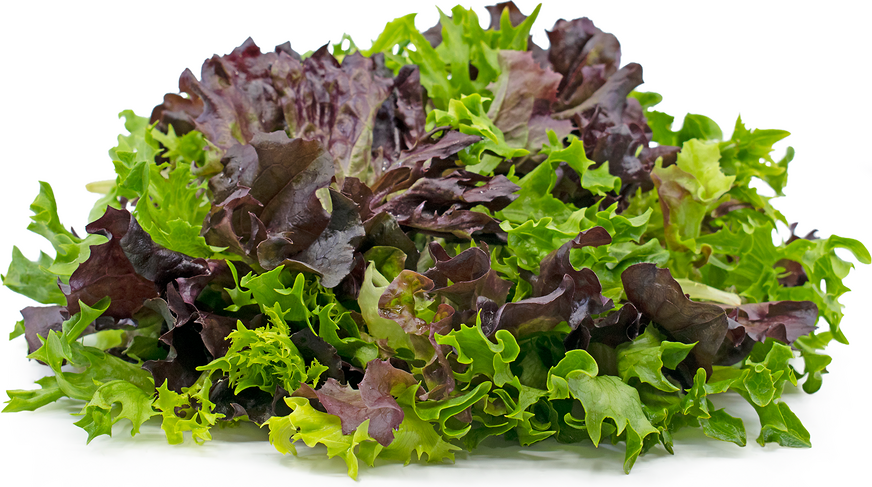 MIXED LETTUCE