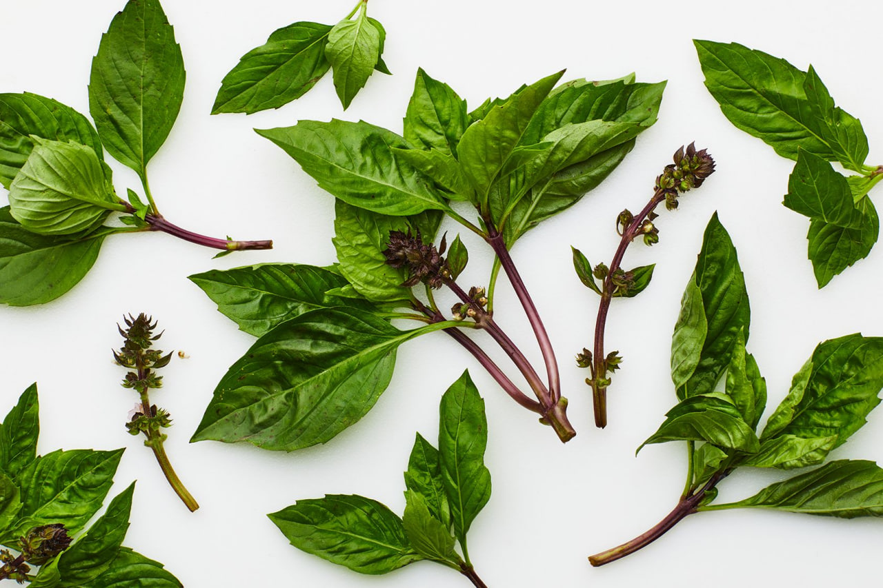 Thai Basil