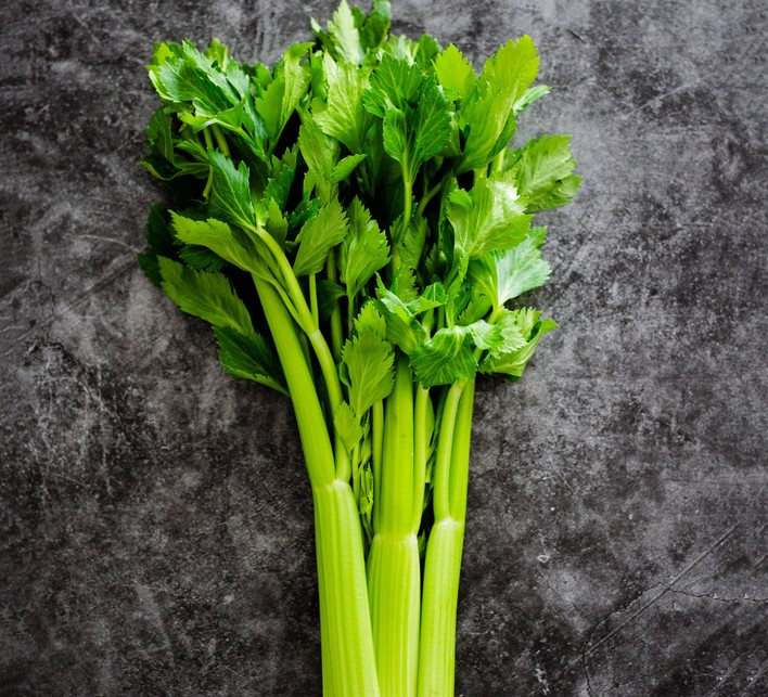 CELERY