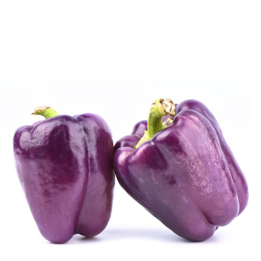 PURPLE CAPSICUM