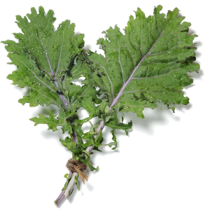 Russian Kale