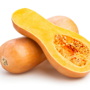 Butternut Squash