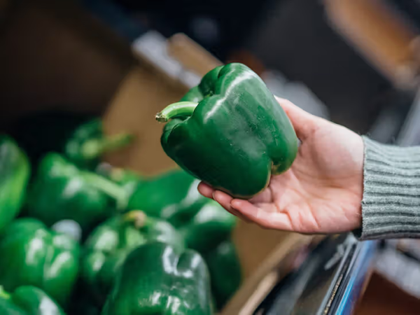 Green Capsicum