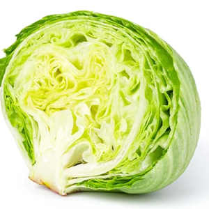 Iceberg Lettuce