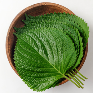 Korean Perilla Leaves