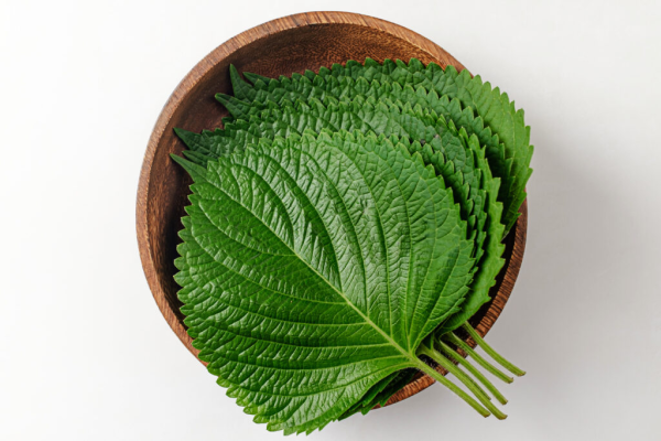 Korean Perilla Leaves