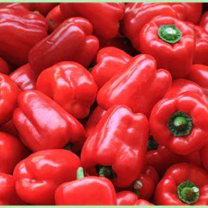 Red Capsicum