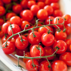 Red Cherry Tomato Round