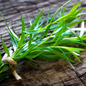 Tarragon