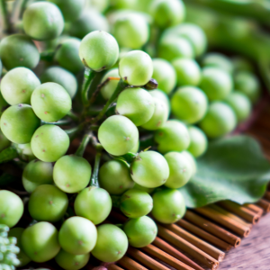 Thai Brinjal (Turkish Berry)