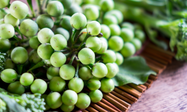 Thai Brinjal (Turkish Berry)