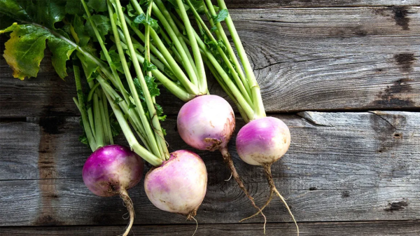 Turnip