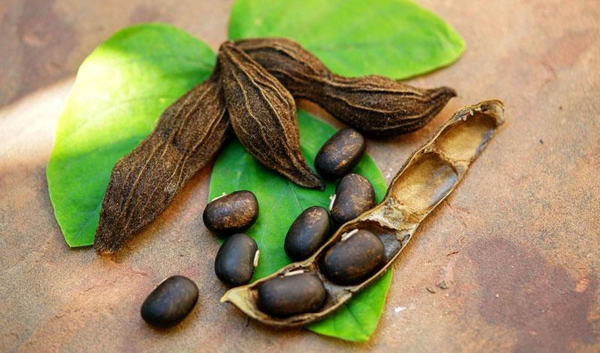Velvet Beans