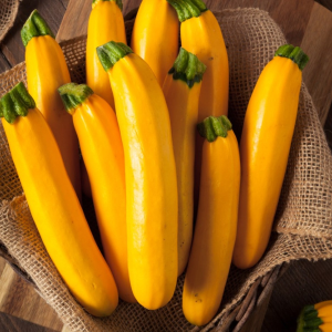 Yellow Zucchini